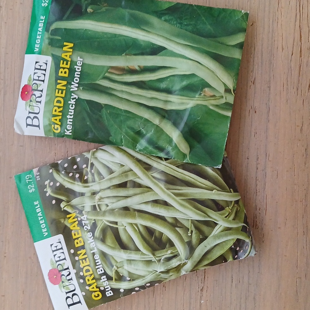 Seeds - 15 Packs Vegetable Seeds, Seeds Cucumber, Spinach, Lettuce, Peppers, etc - Picture 4 of 6
